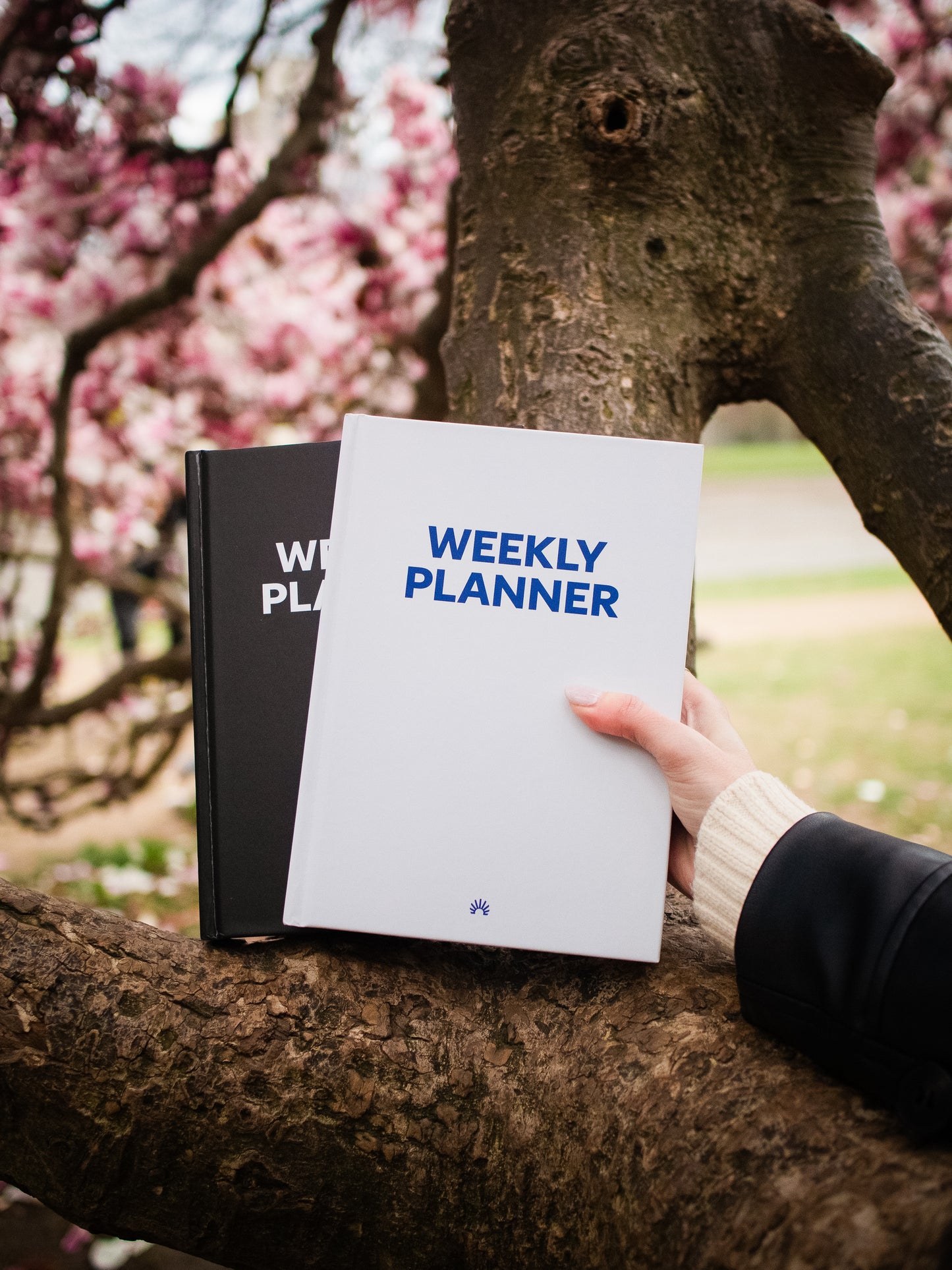 White Guided Weekly Planner Full Year 4-in-1